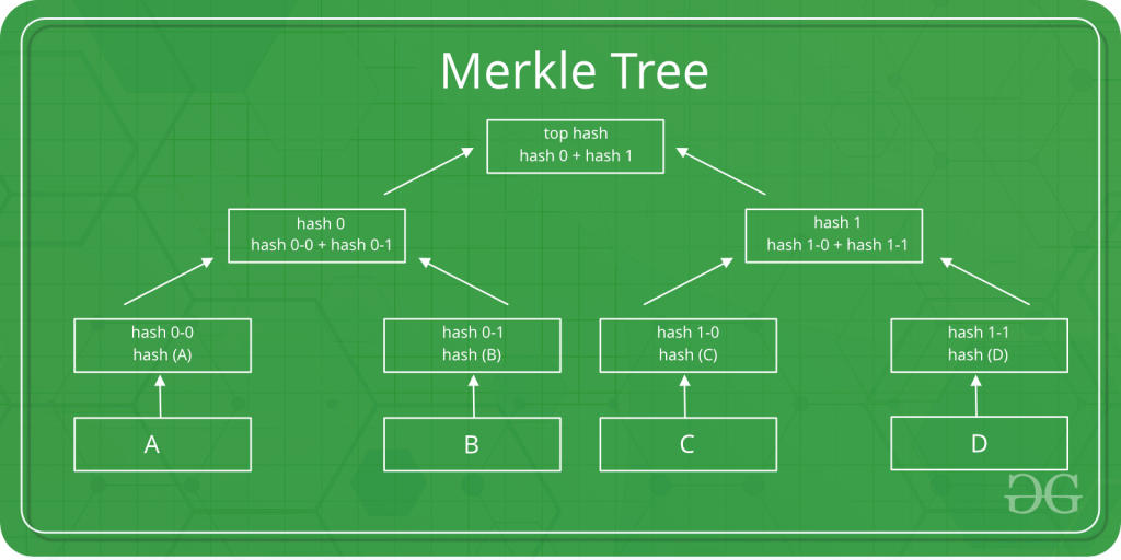 What are MERKLE TREES?